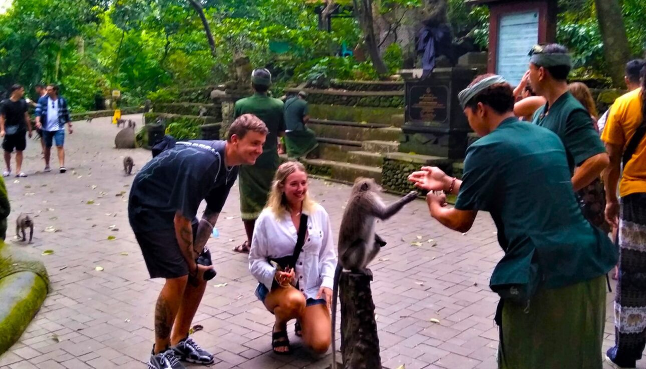 Ubud monkey forest