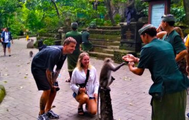 Ubud monkey forest