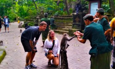 Ubud monkey forest