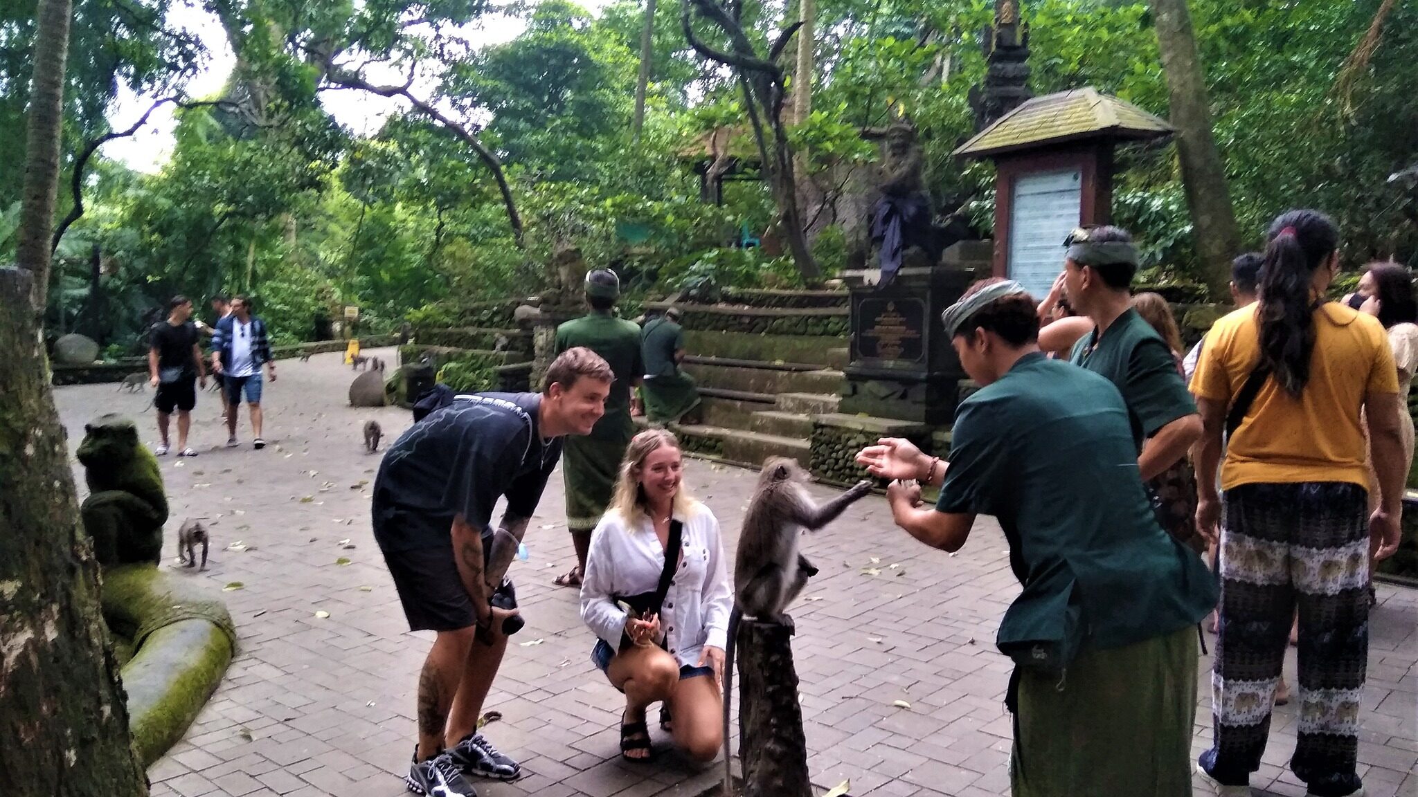 Ubud monkey forest