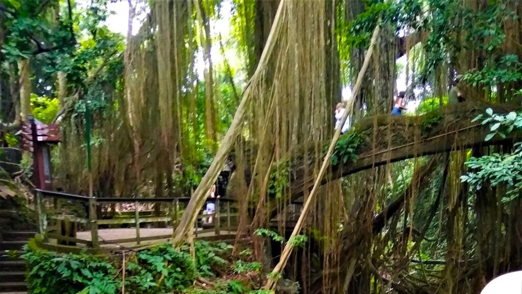 ubud monkey forest brige