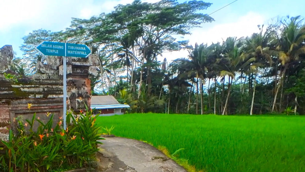 Tibunana waterfall rice fields