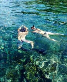 Snorkeling and Scuba Diving