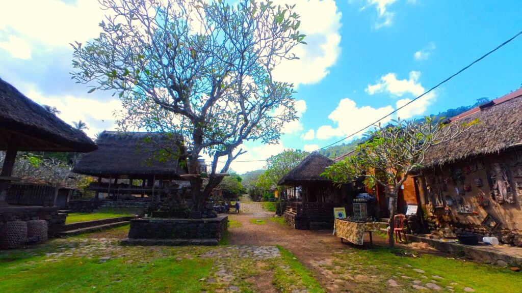 Tenganan ancient village