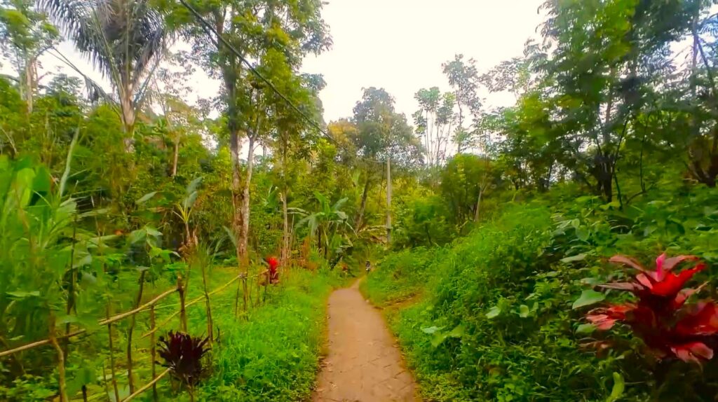 banyumala waterfall path