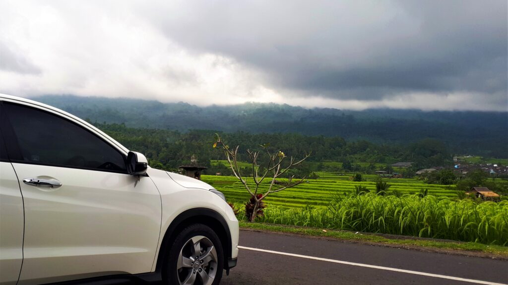 Jatiluwih rice terrace, bali.