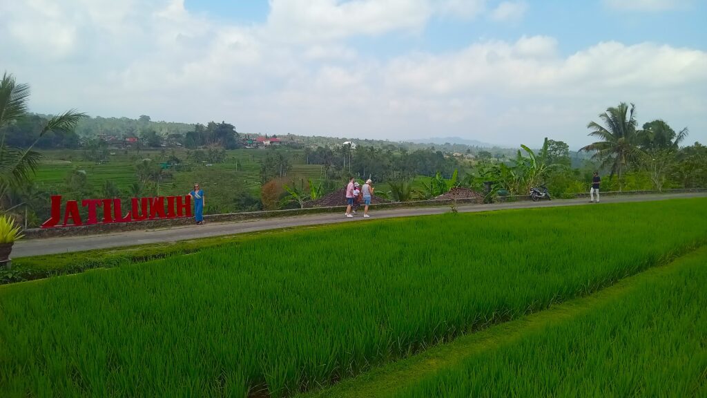 Trekking at Jatiluwih rice terrace