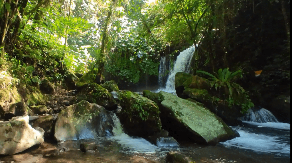 Yeh hoo waterfall view