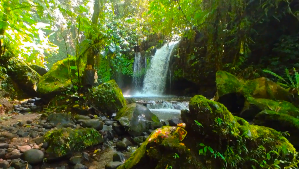 Yeh Hoo Waterfall under tropical trees