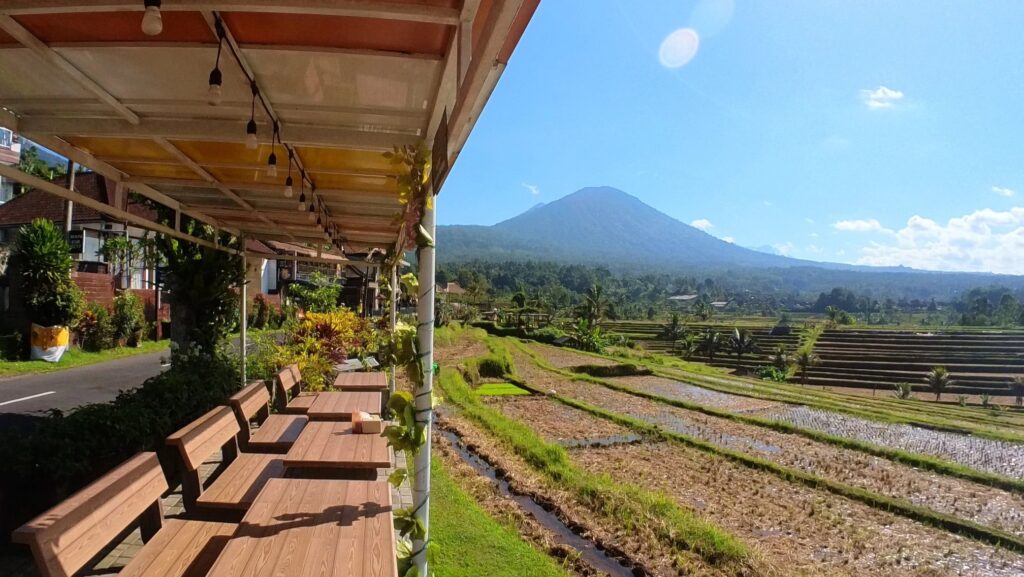 jatiluwih rice terrace resto