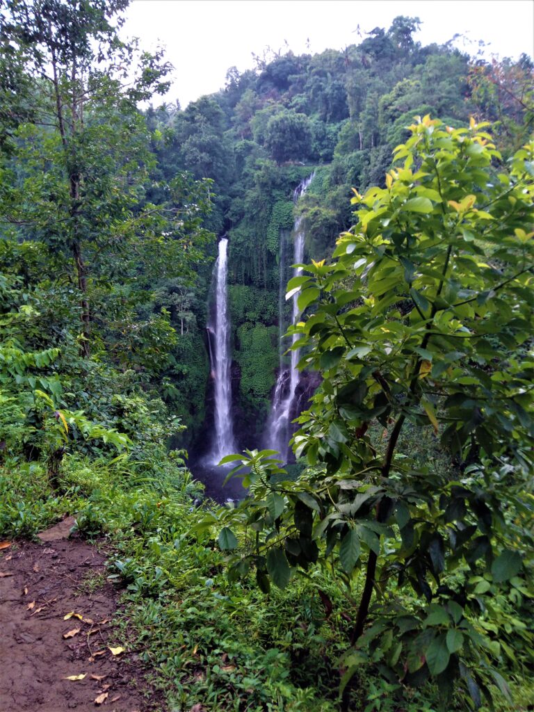 sekumpul waterfall