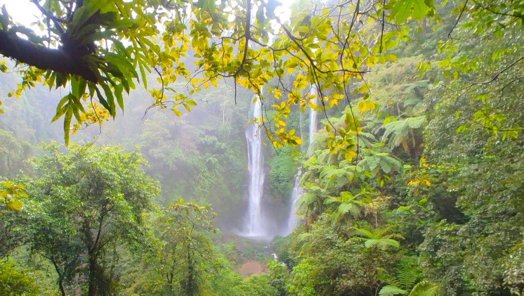 sekumpul waterfall