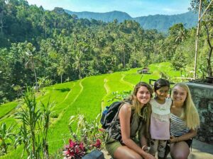 Lemukih rice fields