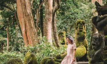 monkey forest ubud