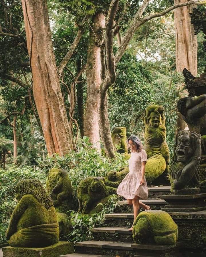monkey forest ubud