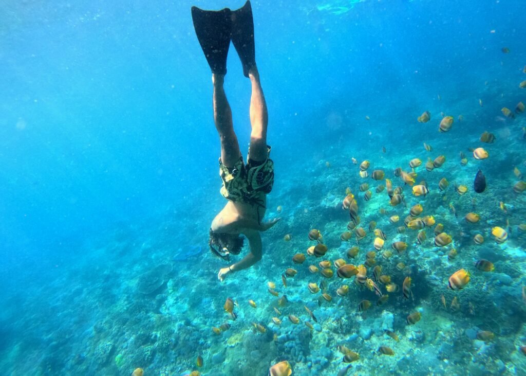Snorkeling adventure around Nusa Penida Island Bali