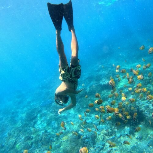 Snorkeling adventure around Nusa Penida Island Bali