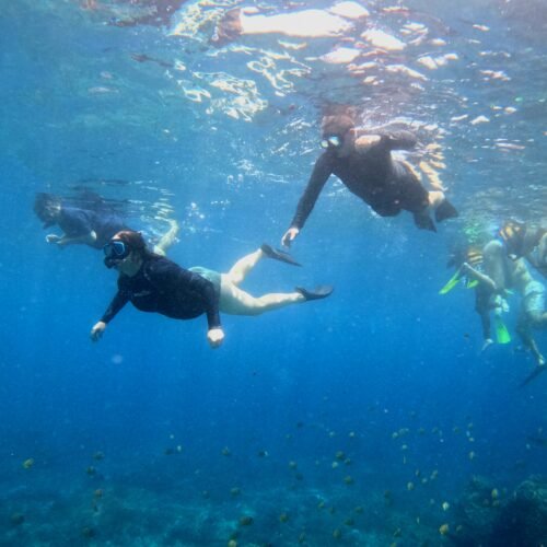 Snorkeling adventure around Nusa Penida Island Bali