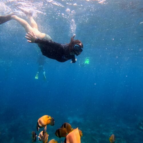 Snorkeling adventure around Nusa Penida Island Bali