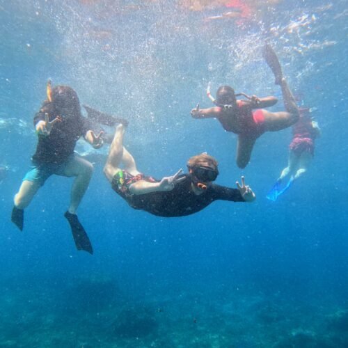 Snorkeling adventure around Nusa Penida Island Bali