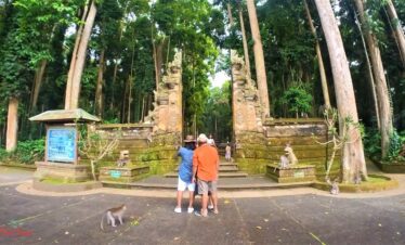 sangeh monkey forest