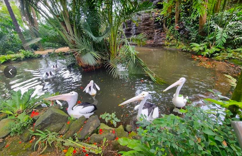 Bali Bird Park