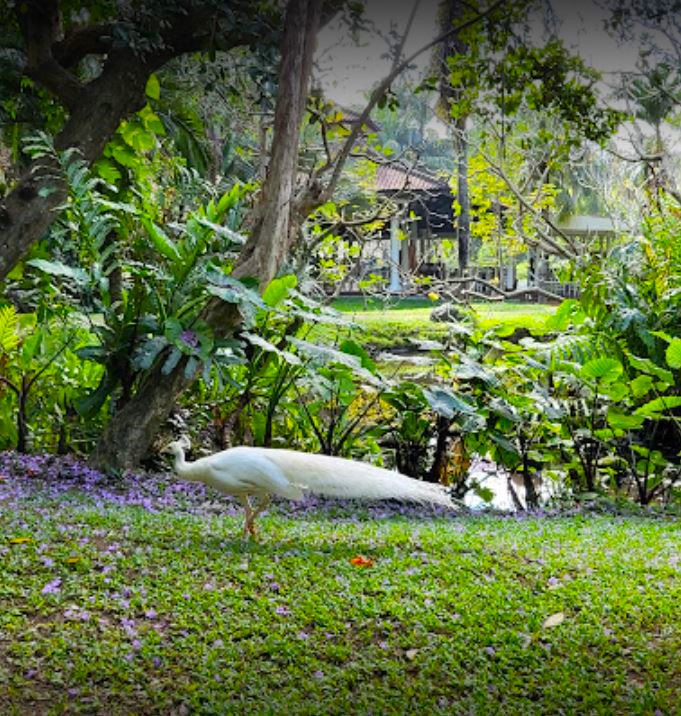 Bali Bird Park