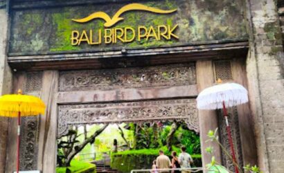 Bali Bird Park