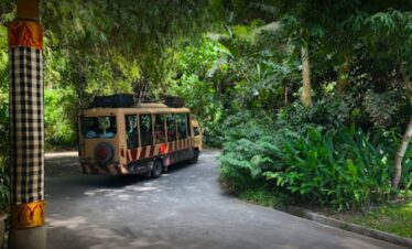 bali safari