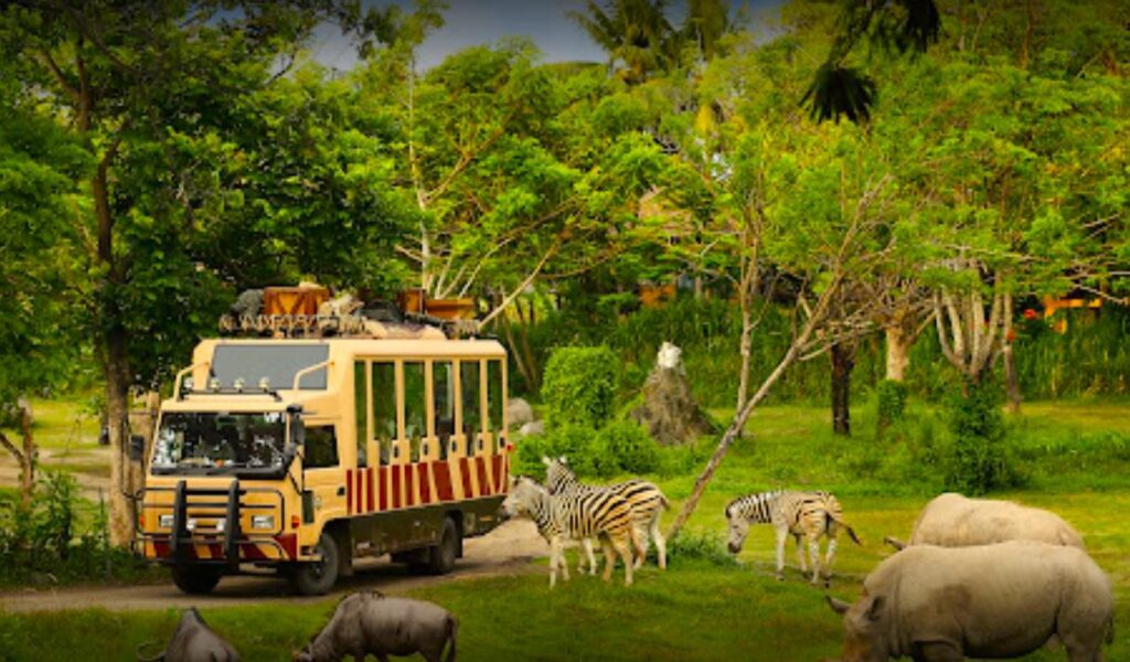 bali safari