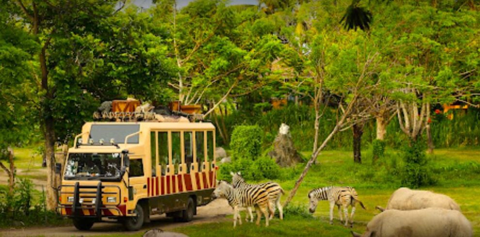 bali safari