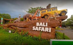 bali safari