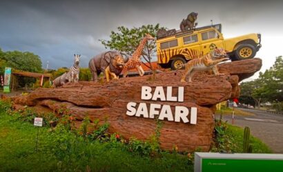 bali safari