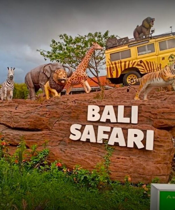 bali safari