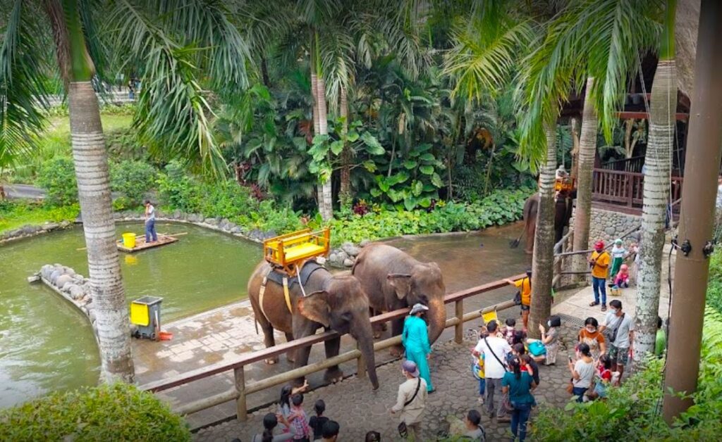 Bali Zoo