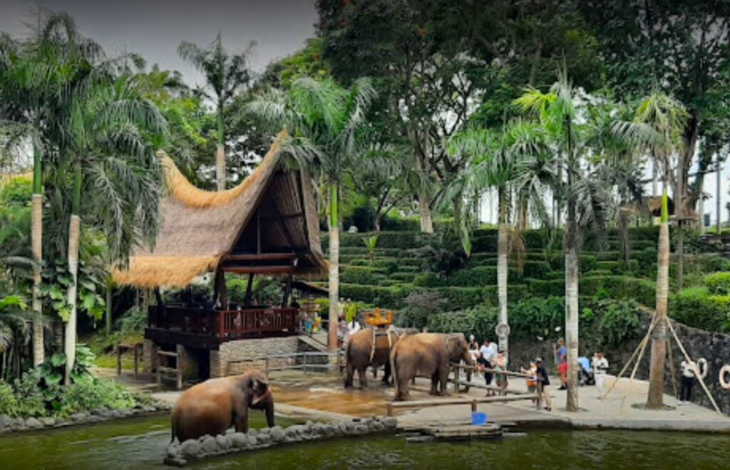 Bali Zoo