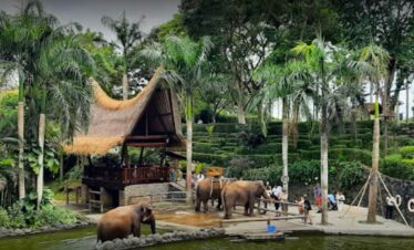 Bali Zoo
