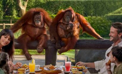 breakfast with orangutan