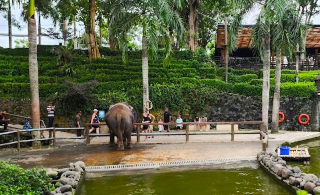 Bali zoo