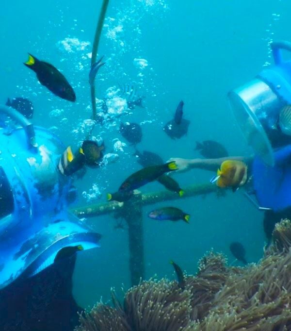 Tanjung Benoa Watersport