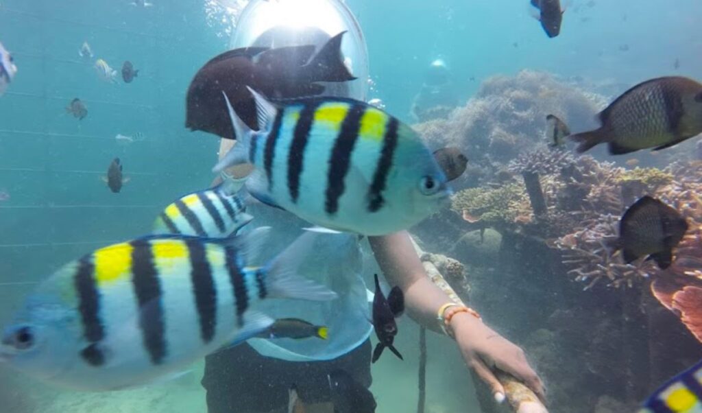 Tanjung Benoa Watersport