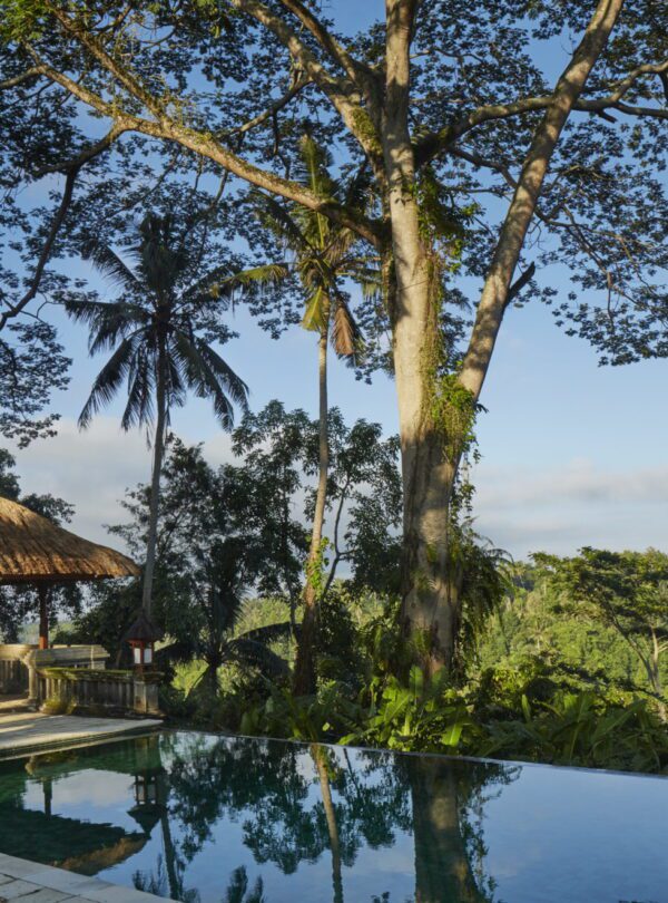 Ubud hotel