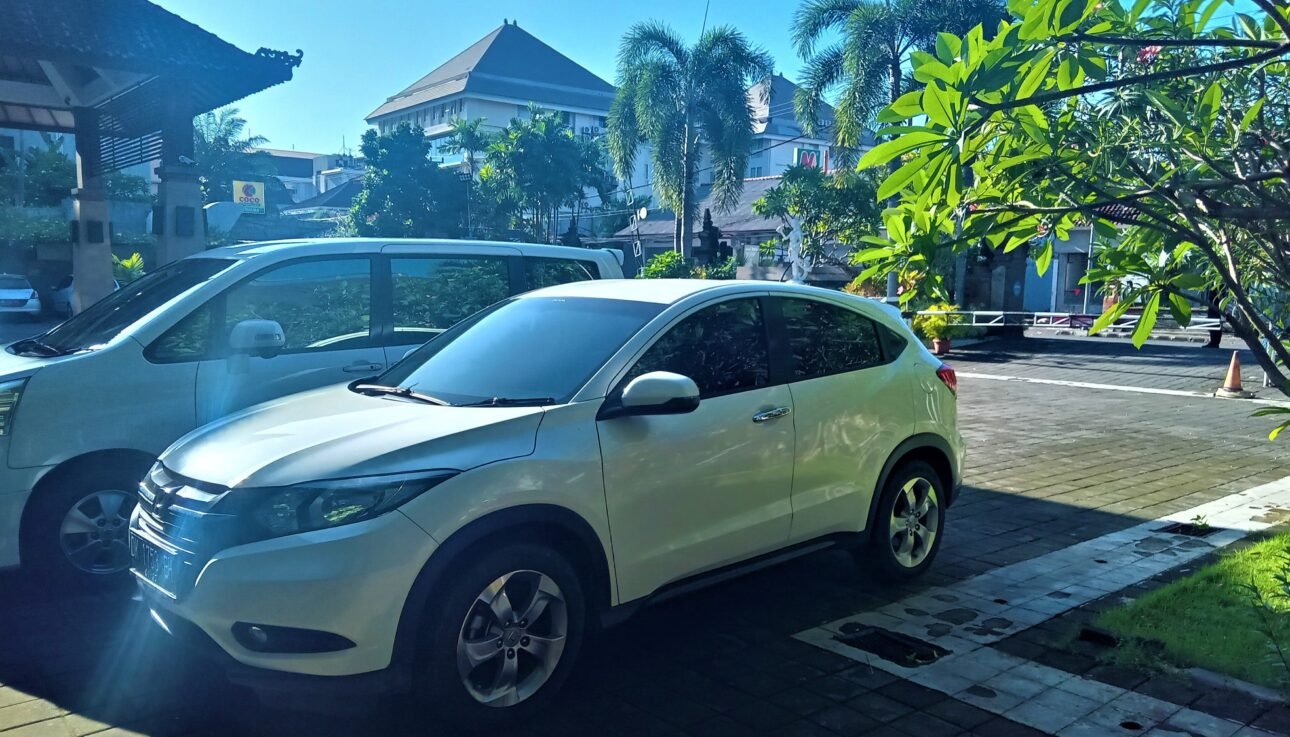 Hiring a private driver in Bali exotic trip