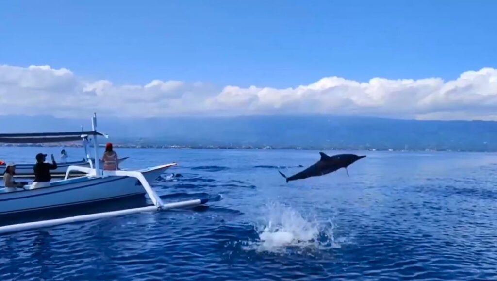 Lovina Beach Bali sunrise dolphins