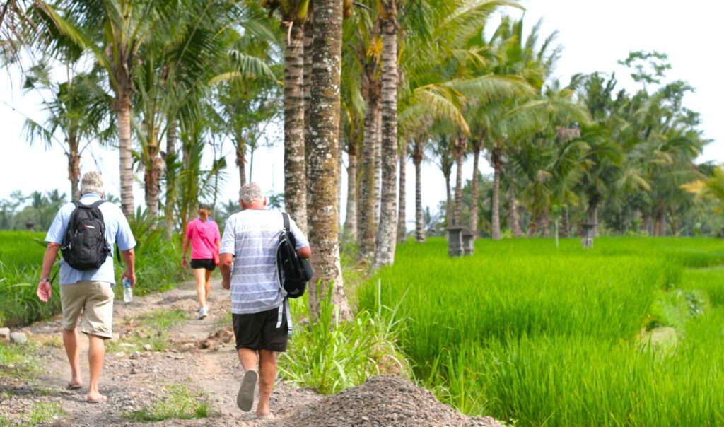 jungle trekking Ubud