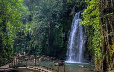 wondefull ulu petanu