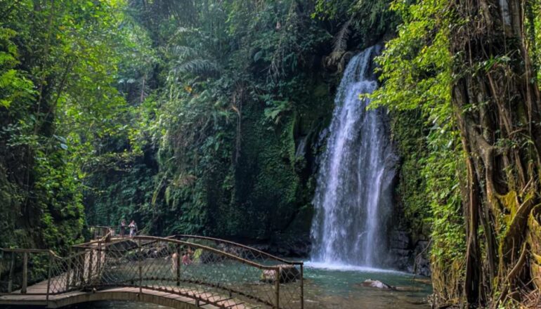 wondefull ulu petanu