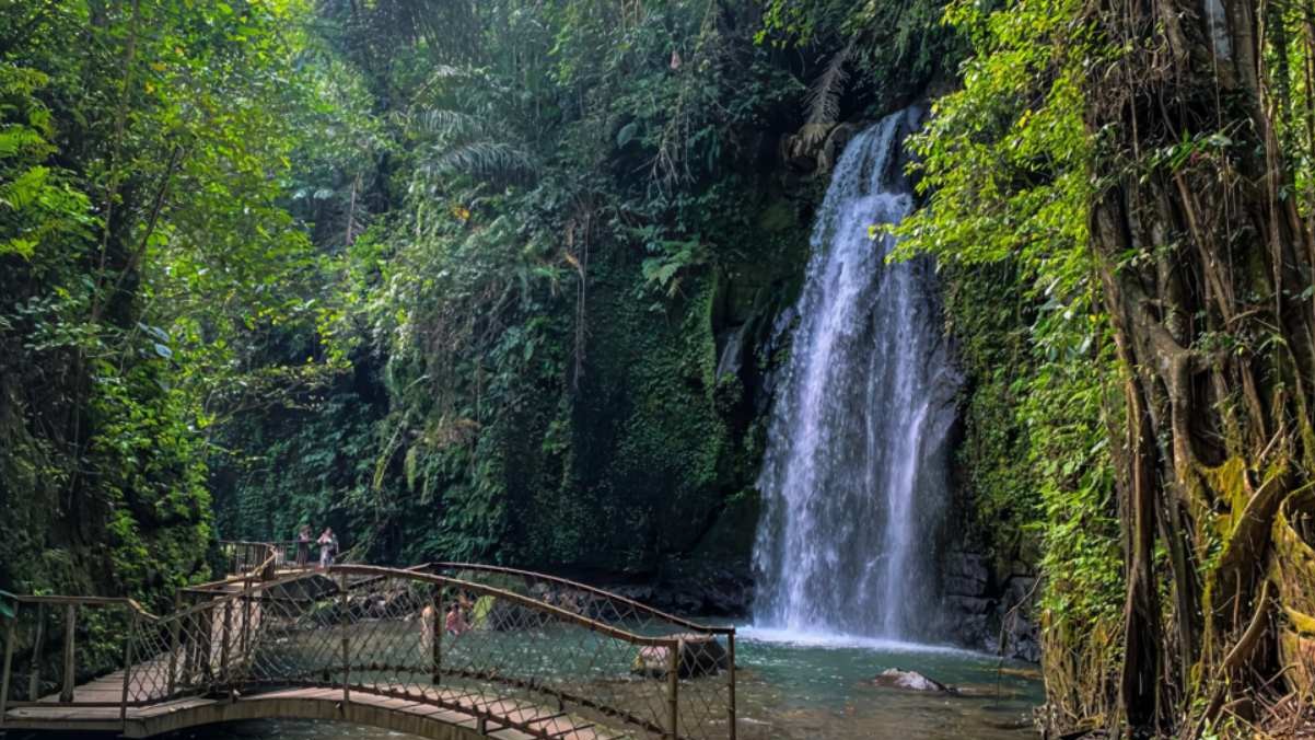 wondefull ulu petanu